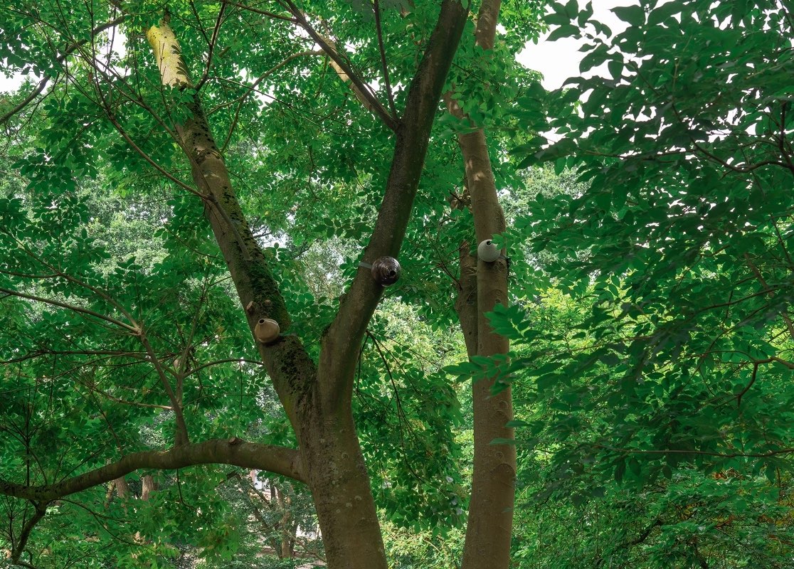 Botanischer Spaziergang